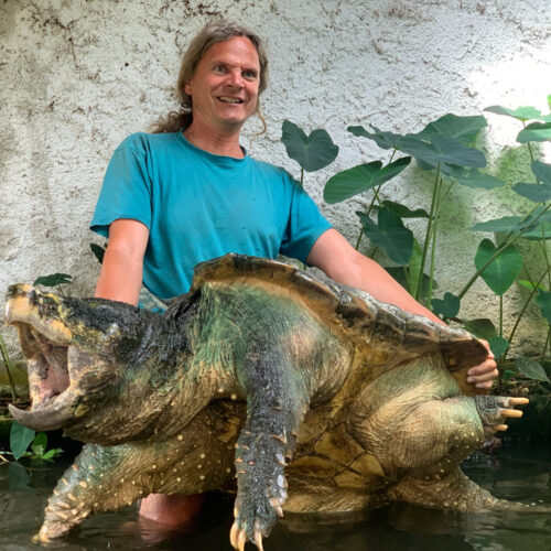 Turtle Island